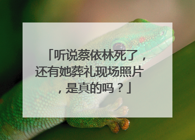 听说蔡依林死了，还有她葬礼现场照片，是真的吗？