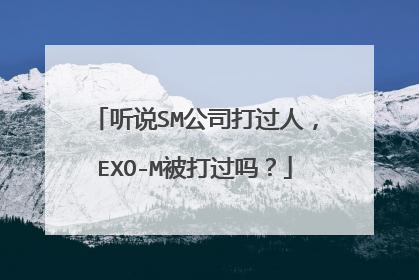 听说SM公司打过人，EXO-M被打过吗？