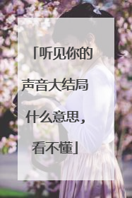 听见你的声音大结局什么意思,看不懂