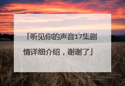 听见你的声音17集剧情详细介绍，谢谢了