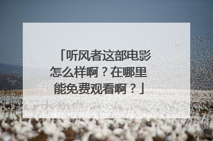 听风者这部电影怎么样啊?在哪里能免费观看啊?