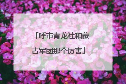 呼市青龙社和蒙古军团那个厉害