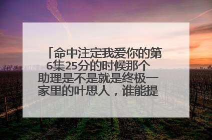 命中注定我爱你的第6集25分的时候那个助理是不是就是终极一家里的叶思人，谁能提供一下他的资料