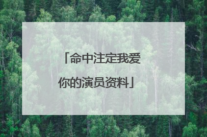 命中注定我爱你的演员资料