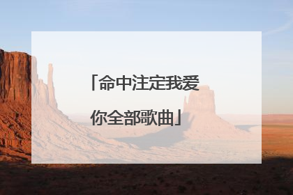 命中注定我爱你全部歌曲