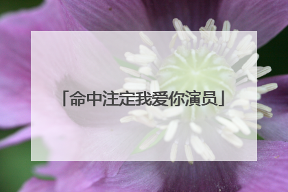 命中注定我爱你演员