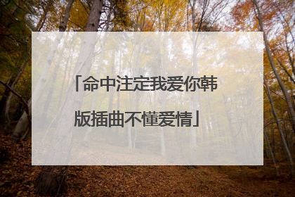 命中注定我爱你韩版插曲不懂爱情