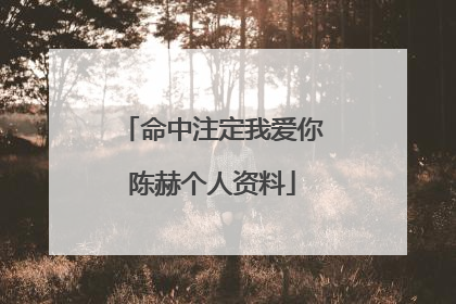 命中注定我爱你陈赫个人资料