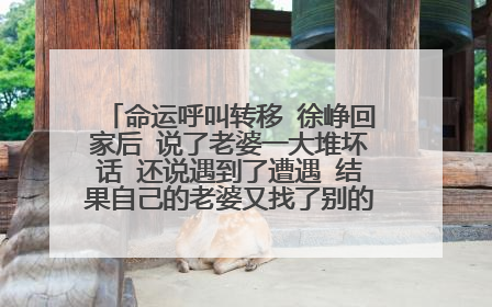 命运呼叫转移 徐峥回家后 说了老婆一大堆坏话 还说遇到了遭遇 结果自己的老婆又找了别的老公 当时的