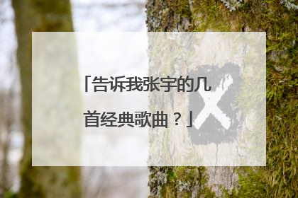 告诉我张宇的几首经典歌曲？