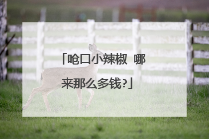 呛口小辣椒 哪来那么多钱?