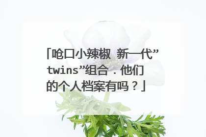 呛口小辣椒 新一代”twins”组合.他们的个人档案有吗?