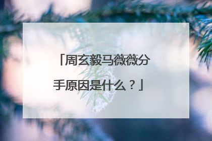 周玄毅马薇薇分手原因是什么?