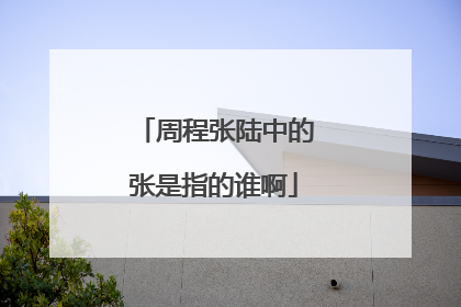 周程张陆中的张是指的谁啊