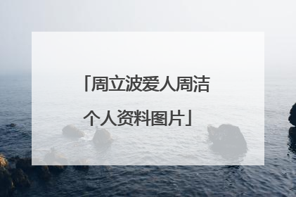 周立波爱人周洁个人资料图片