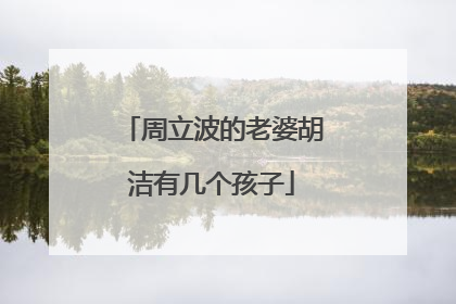 周立波的老婆胡洁有几个孩子