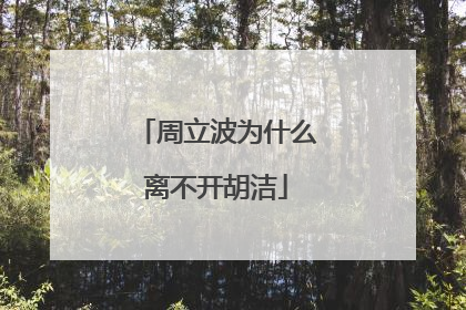 周立波为什么离不开胡洁