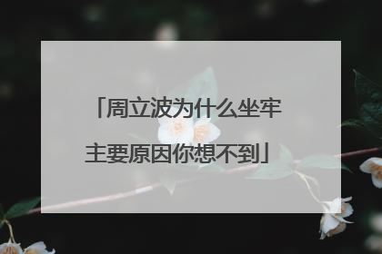 周立波为什么坐牢主要原因你想不到