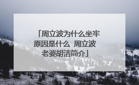周立波为什么坐牢原因是什么 周立波老婆胡洁简介