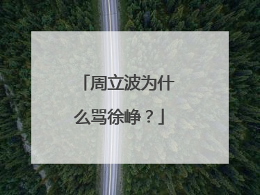 周立波为什么骂徐峥?