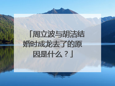 周立波与胡洁结婚时成龙去了的原因是什么？