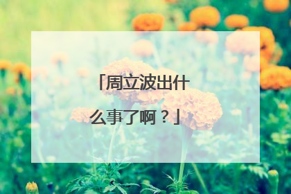 周立波出什么事了啊？