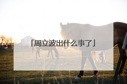 周立波出什么事了