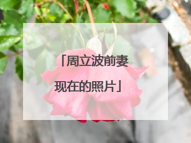 周立波前妻现在的照片