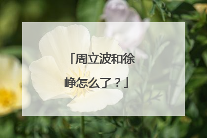 周立波和徐峥怎么了?