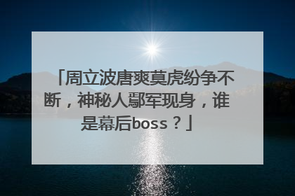 周立波唐爽莫虎纷争不断，神秘人鄢军现身，谁是幕后boss？
