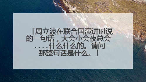 周立波在联合国演讲时说的一句话，大会小会夜总会....什么什么的。请问那整句话是什么。