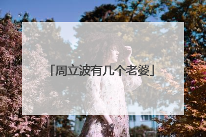 周立波有几个老婆