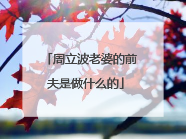 周立波老婆的前夫是做什么的