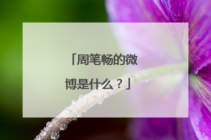 周笔畅的微博是什么?