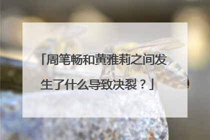 周笔畅和黄雅莉之间发生了什么导致决裂?