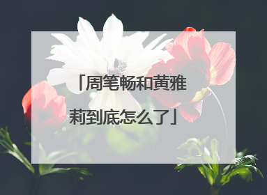 周笔畅和黄雅莉到底怎么了