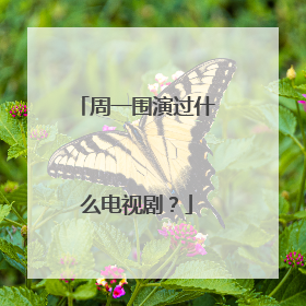 周一围演过什么电视剧？