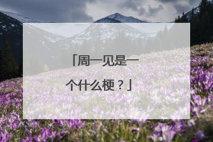 周一见是一个什么梗？