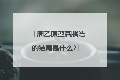 周乙原型高鹏浩的结局是什么?