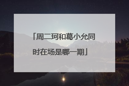 周二珂和葛小允同时在场是哪一期