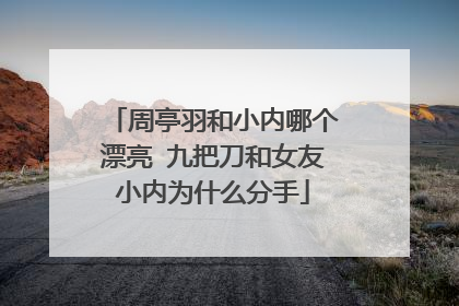 周亭羽和小内哪个漂亮 九把刀和女友小内为什么分手