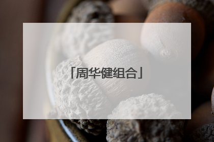 周华健组合