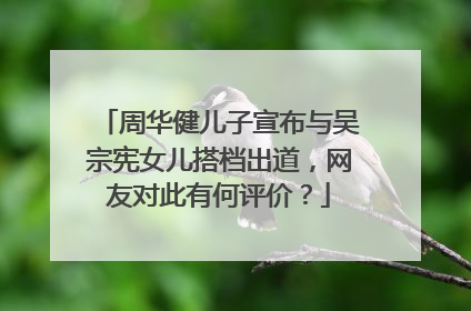 周华健儿子宣布与吴宗宪女儿搭档出道，网友对此有何评价？