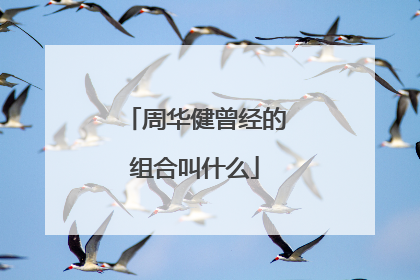 周华健曾经的组合叫什么