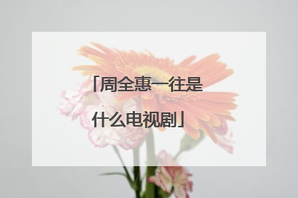 周全惠一往是什么电视剧