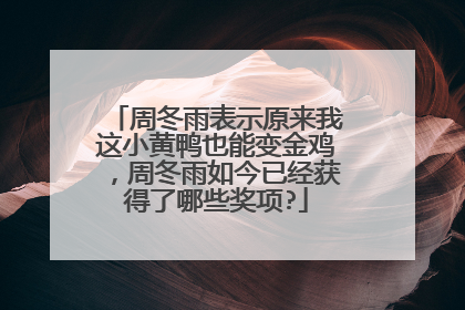 周冬雨表示原来我这小黄鸭也能变金鸡，周冬雨如今已经获得了哪些奖项?