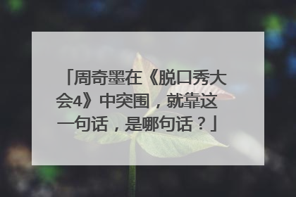 周奇墨在《脱口秀大会4》中突围，就靠这一句话，是哪句话？