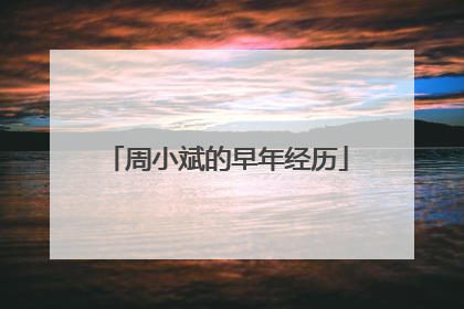 周小斌的早年经历