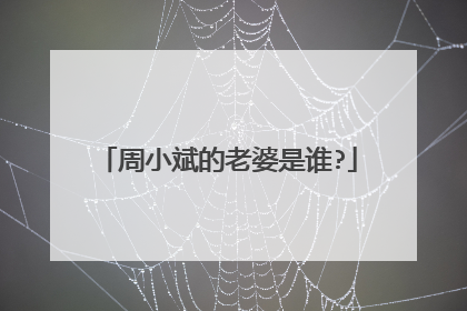 周小斌的老婆是谁?