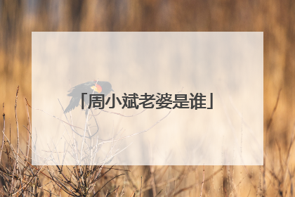 周小斌老婆是谁